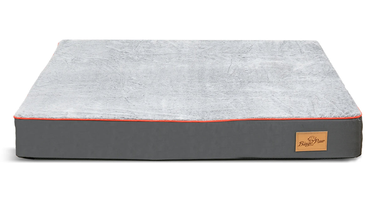 Large Orthopedic Memory Foam Dog Bed