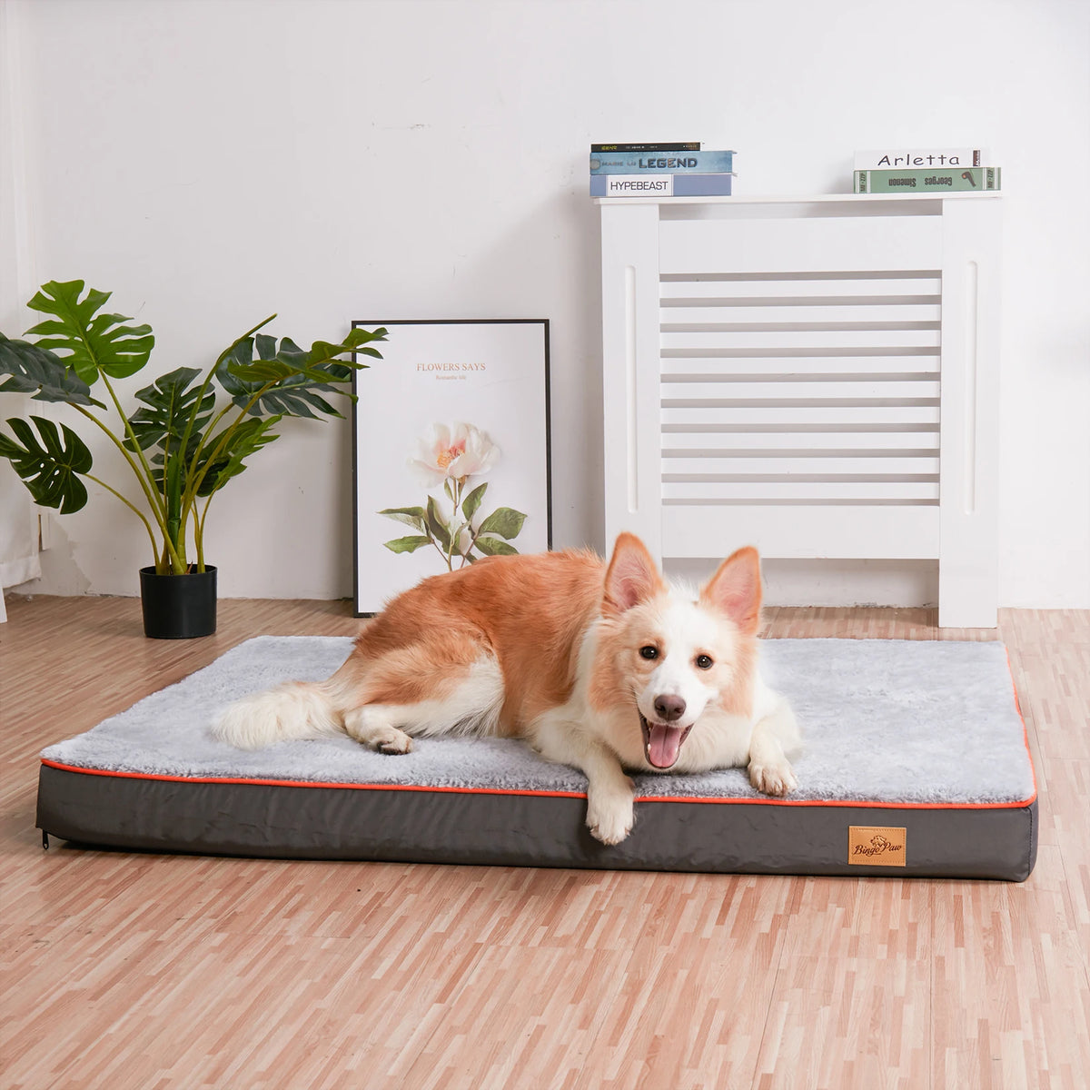 Large Orthopedic Memory Foam Dog Bed