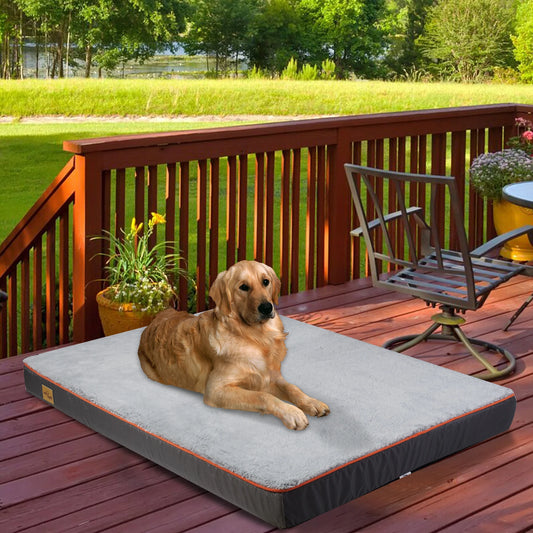 Large Orthopedic Memory Foam Dog Bed