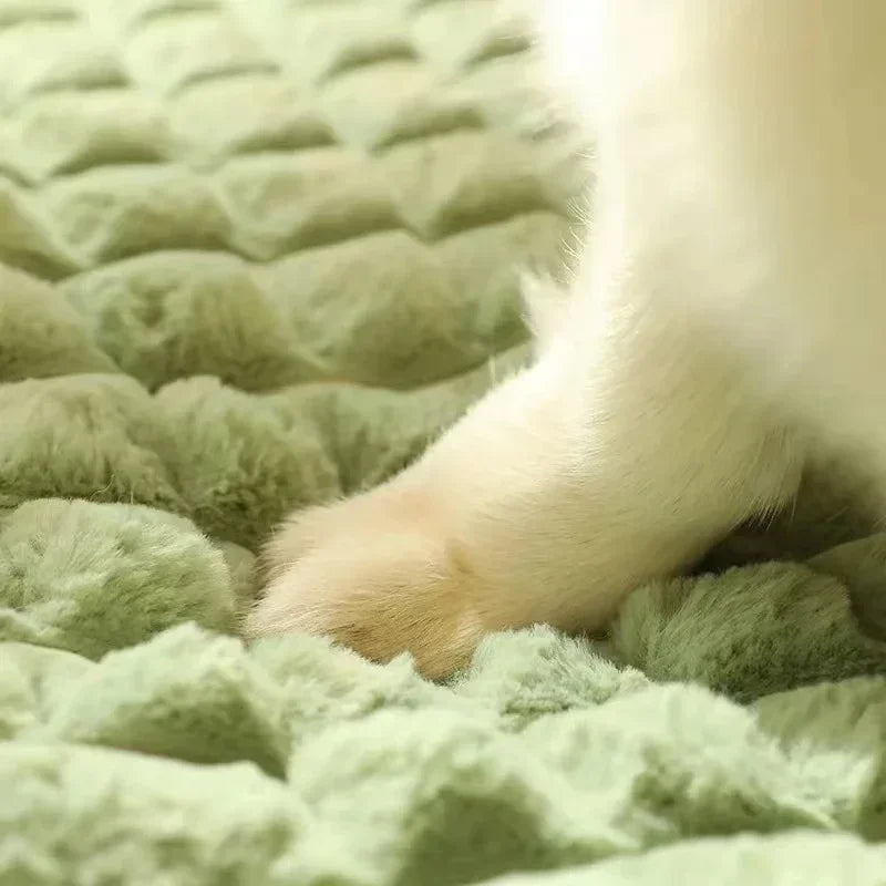 Winter Orthopedic Memory Foam Dog Bed
