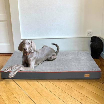 Large Orthopedic Memory Foam Dog Bed