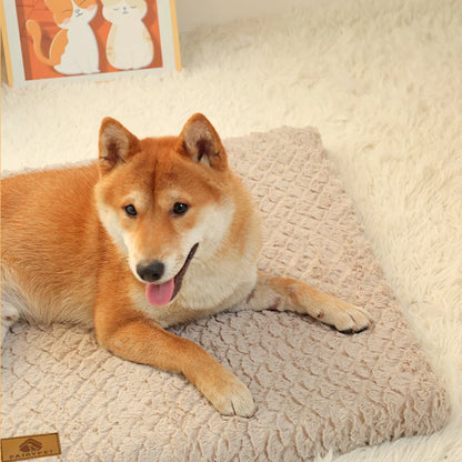 3D Foam Orthopedic Dog Bed Faux Fur Cover