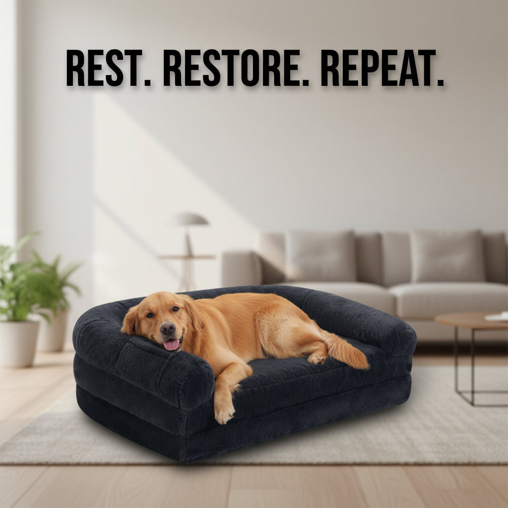 Foldable Dog Bed for Adult and Kids